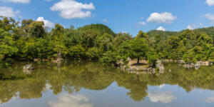 【涼しい！】千葉県の川遊びスポット7選・子連れでも楽しめる無料エリア
