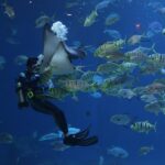 【神秘的！】須磨シーワールドで出会う海の生き物たちの素顔