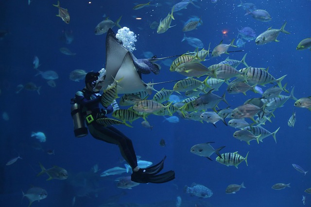 【神秘的！】須磨シーワールドで出会う海の生き物たちの素顔