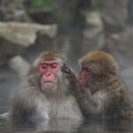 【全国18施設受賞！】大江戸温泉物語グループがじゃらんアワード2025で高評価