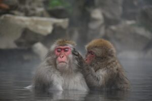 【全国18施設受賞！】大江戸温泉物語グループがじゃらんアワード2025で高評価