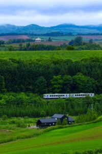 【行ってみた！】釧網本線①｜車窓とローカル線の旅で味わう秘境時間の夫婦旅