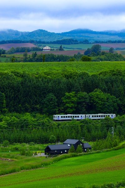 釧網本線の線路沿いに広がる緑の牧草地