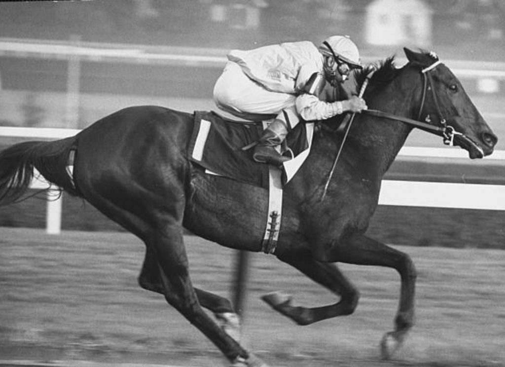 競走馬が疾走する札幌競馬場のトラック