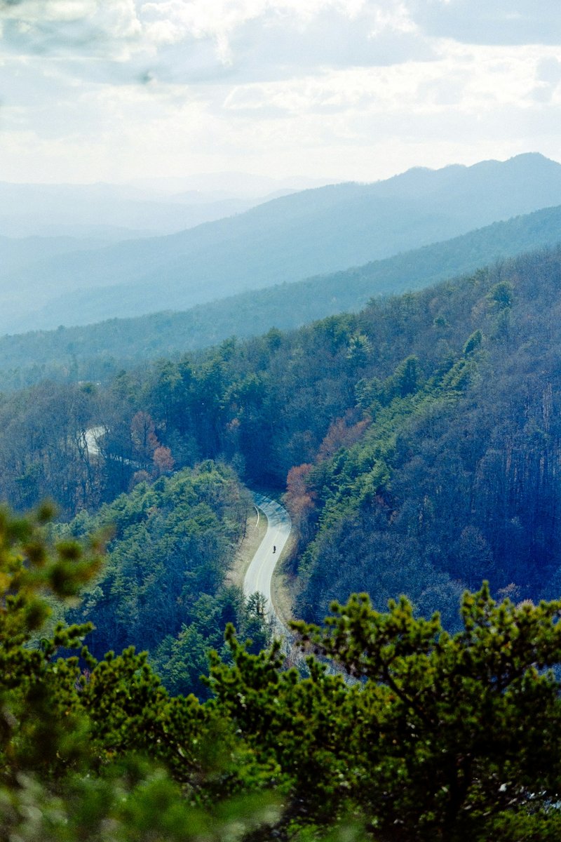 せせらぎ街道沿いの清流と深い緑