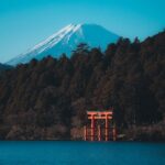 【行ってみた！】箱根一人旅①｜急な休みで宿だけ予約、50代からの何もしない2泊3日