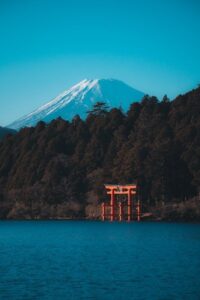 【行ってみた！】箱根一人旅①｜急な休みで宿だけ予約、50代からの何もしない2泊3日