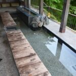 【行ってみた！】箱根一人旅③｜また来たくなる箱根、人生後半の旅で見つけたもの