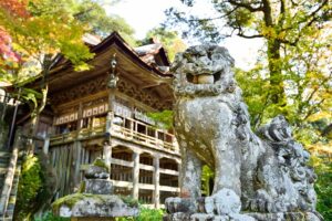 【お得！】丹後・夕日ヶ浦温泉「旅亭 櫂」で松茸と地酒を嗜む秋の特別プラン