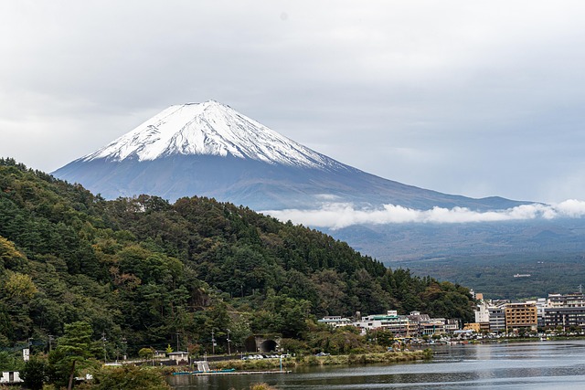 【便利!】新宿~河口湖の高速バス、2026年10月から10分間隔に。富士五湖旅がもっと行きやすく