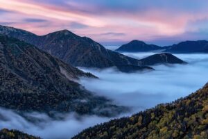 【投票受付中！】宇都宮・八幡山公園の新エリア愛称候補が決定。カフェや自然体験ゾーンが2027年春誕生