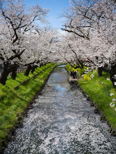 夫婦で川沿いを散歩する情景