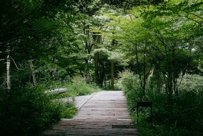 甘酒茶屋の名物・力餅と甘酒