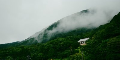 箱根湯本商店街の温泉まんじゅう
