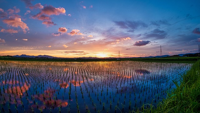 日本 田舎のイメージ