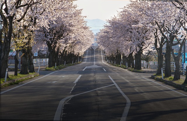 日本 風景のイメージ
