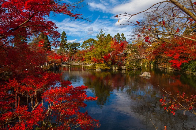 日本 寺のイメージ