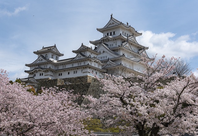 日本 自然のイメージ