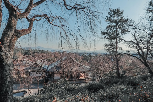 日本 寺のイメージ