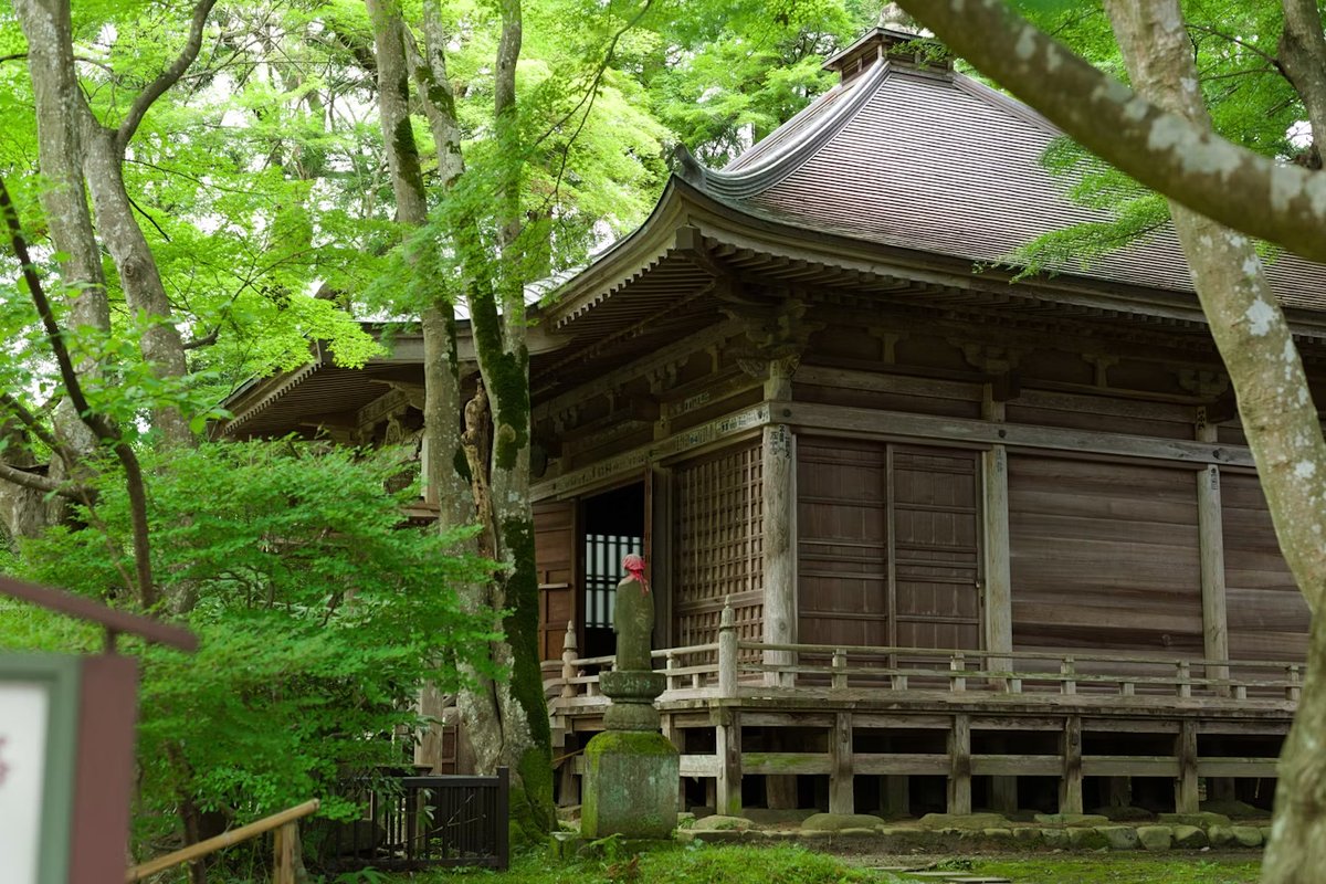 平泉 毛越寺の庭園と池の風景