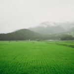 【行ってみた！】平泉・花巻温泉②｜静かな史跡で感じた「夏草や」 夫婦2泊3日