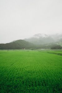 【行ってみた!】平泉・花巻温泉②|静かな史跡で感じた「夏草や」 夫婦2泊3日