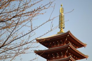 【お得！】宮崎県の旅行支援「九州ふっこう応援割」じゃらん・楽天で9月25日予約開始