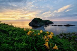 【秋の風情】佳松苑別邸ふうかで月見酒！手作り団子と丹後の冷やおろしを楽しむ