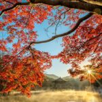 【お得！】福島の秋を撮ってグルメギフトをゲット「#ふくしまフォト旅」