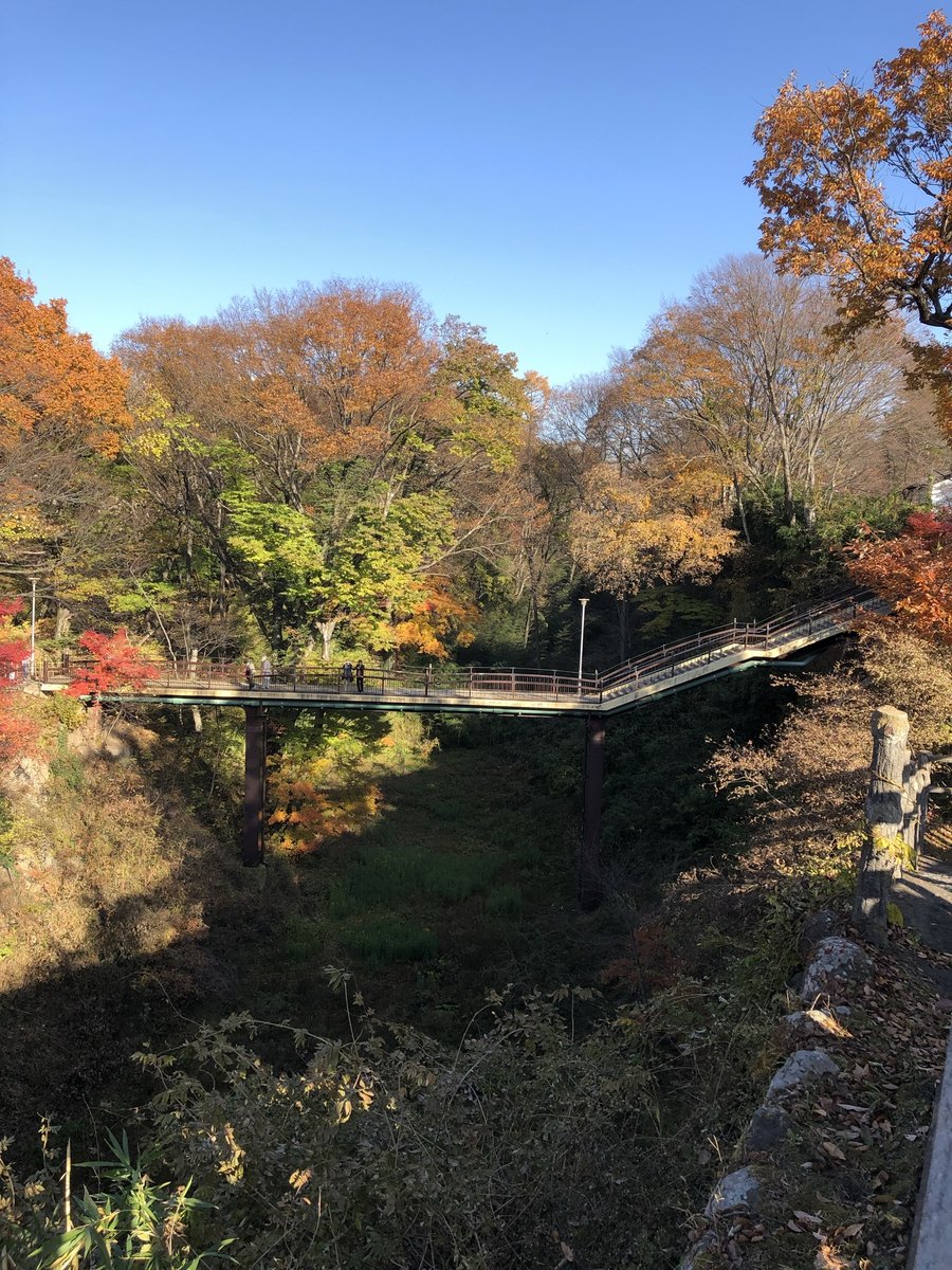 小諸城跡の橋と紅葉の渓谷