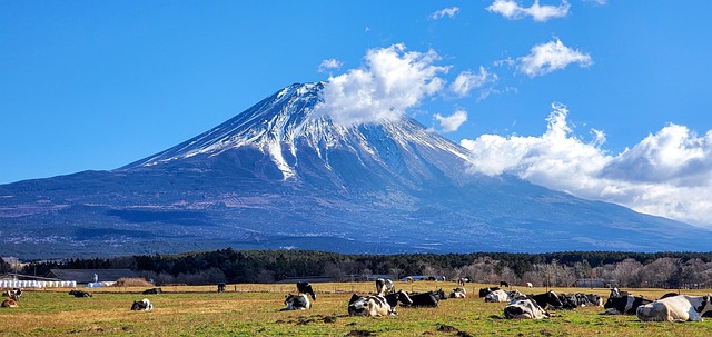 日本 風景のイメージ