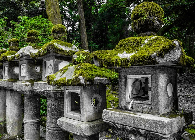 日本 寺のイメージ