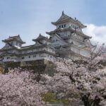 【大洗の隠れた魅力】月の井酒造店で160年の歴史と革新的な日本酒を堪能