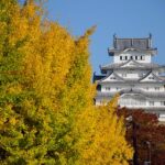 【必見！】秀吉・家康・茶々が集結した石垣山城で戦国ロマンを感じる旅