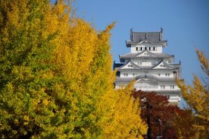 【必見！】秀吉・家康・茶々が集結した石垣山城で戦国ロマンを感じる旅
