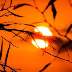 【秋の贅沢！】夕日ヶ浦温泉の一望館で活け〆あおりいかと旬魚の会席を堪能