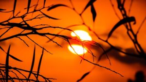 【秋の贅沢！】夕日ヶ浦温泉の一望館で活け〆あおりいかと旬魚の会席を堪能