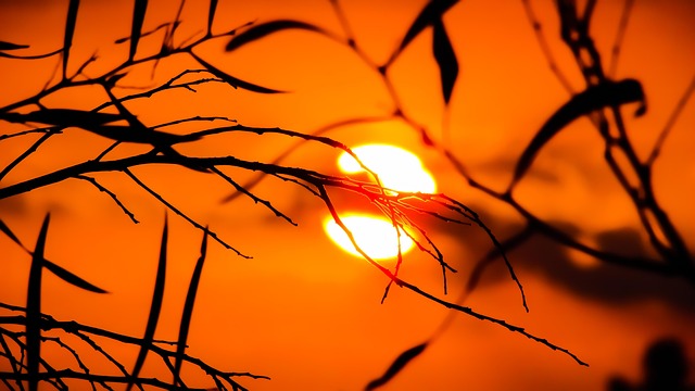 【秋の贅沢!】夕日ヶ浦温泉の一望館で活け〆あおりいかと旬魚の会席を堪能