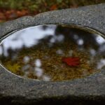 【無料で楽しむ！】長野・小布施の「フローラルガーデンおぶせ」でのんびり花を愛でる