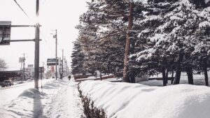 【ただいま能登へ】熱気に包まれる「向田の火祭」で地元の人と一緒に汗を流す夏祭り体験