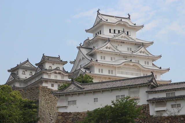 【歴史好きへ】小田原城の戦国遺構を巡る散歩|編集者と歩く城跡探訪