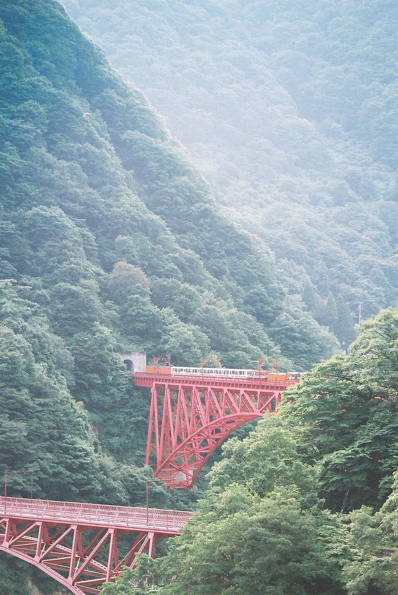 霧に包まれた緑の山と、谷にかかる赤い橋（イメージ）
