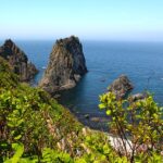 【お得！】JALとJR北海道がタッグ！道東周遊でJR乗り放題パス付きの旅