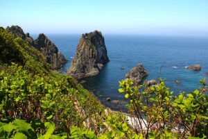 【お得!】JALとJR北海道がタッグ!道東周遊でJR乗り放題パス付きの旅