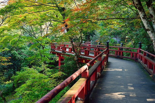 日本 寺のイメージ