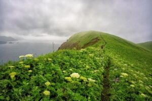 【秋の京田辺】泊まるだけじゃ物足りない人へ。自分らしい秋の過ごし方