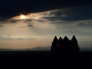 【絶景×グルメ】秋冬の志摩で「御食国」の旅を満喫