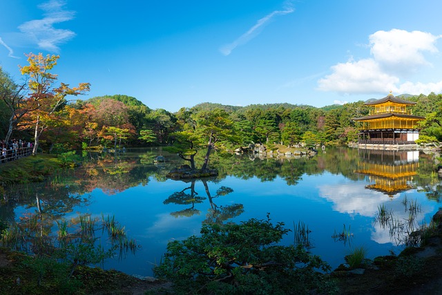 紅葉のイメージ