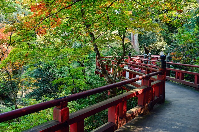 紅葉のイメージ
