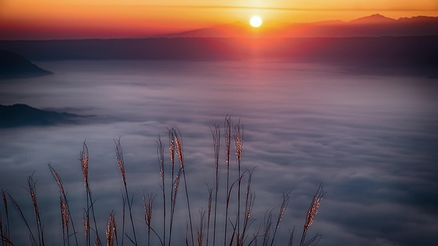 日本 風景のイメージ